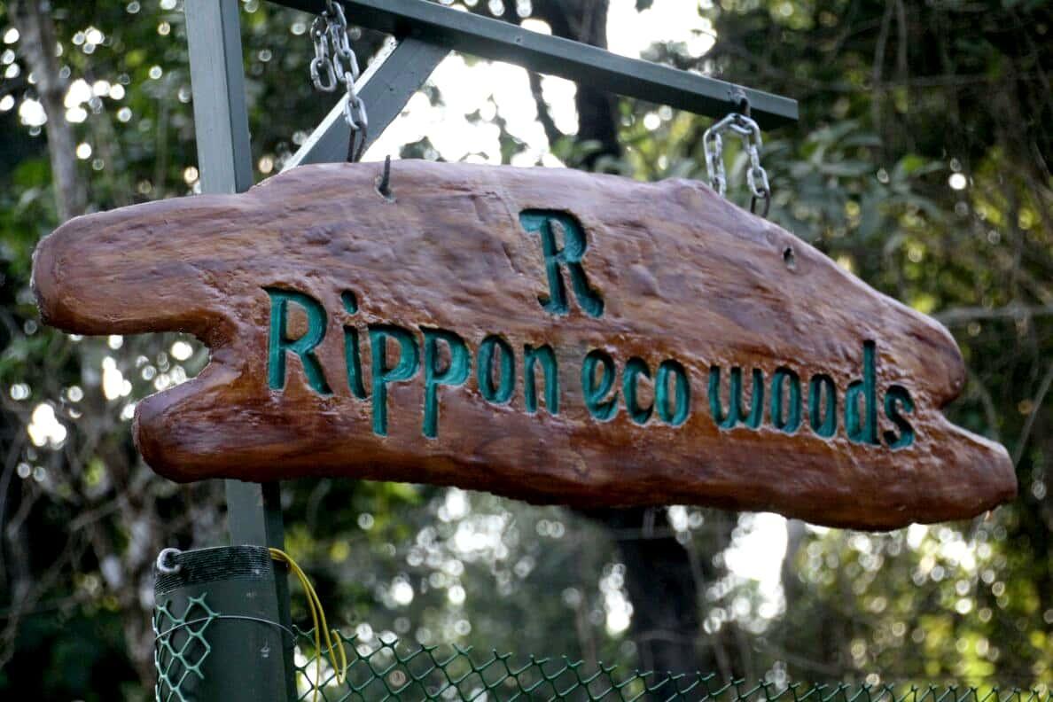 Villa Rippon Eco Woods Kalpatta Exterior foto
